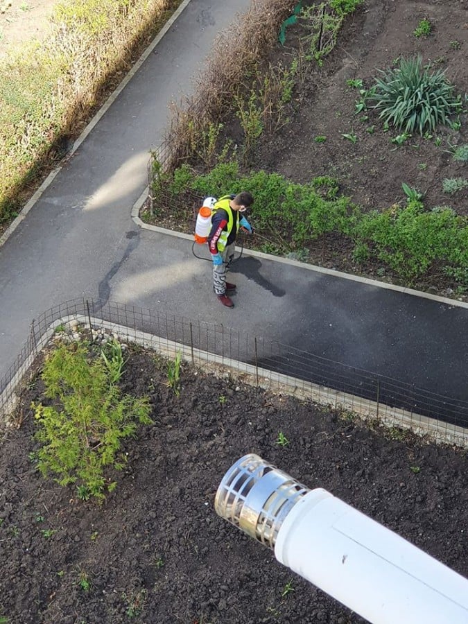 dezinsectie-primarie-tg4y