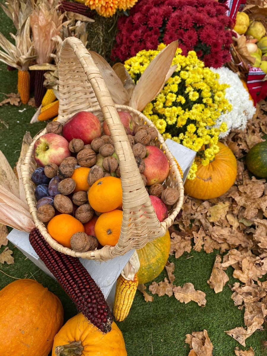 Festivalul Dovleacului, sâmbătă, la grădinița din Bungard: spectacol de magie, vânătoare de comori, ateliere de creație
