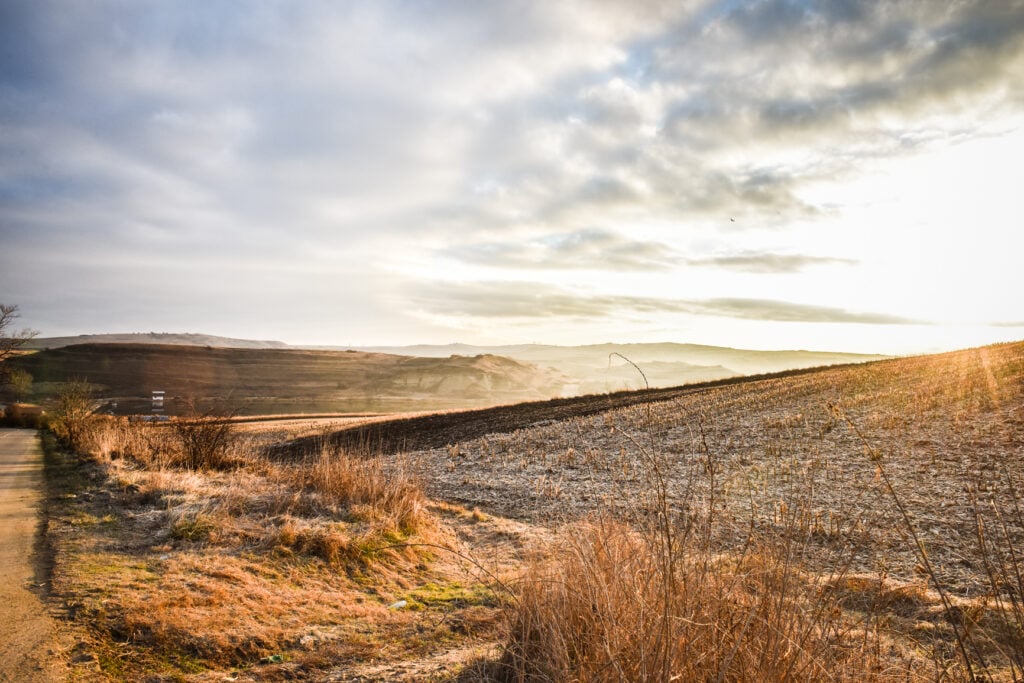 frig-inghet-ger-iarna-5-xzva