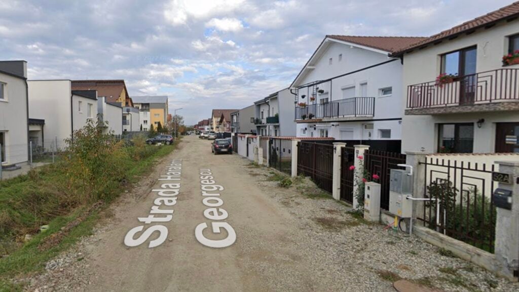 haralamb-georgescu-2swh