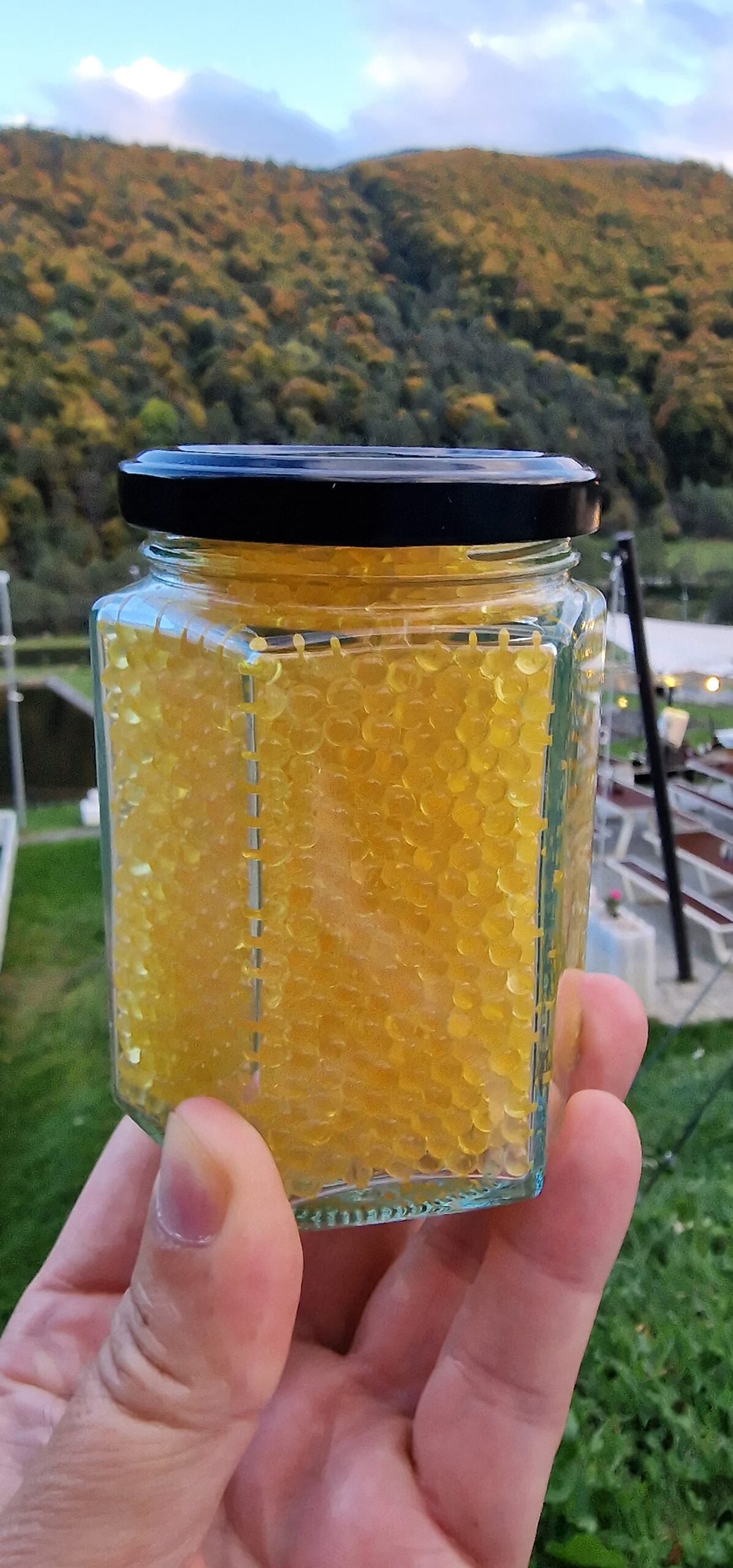 Cum se produce caviarul de Sadu