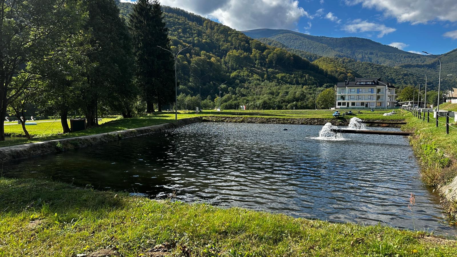 Cum se produce caviarul de Sadu