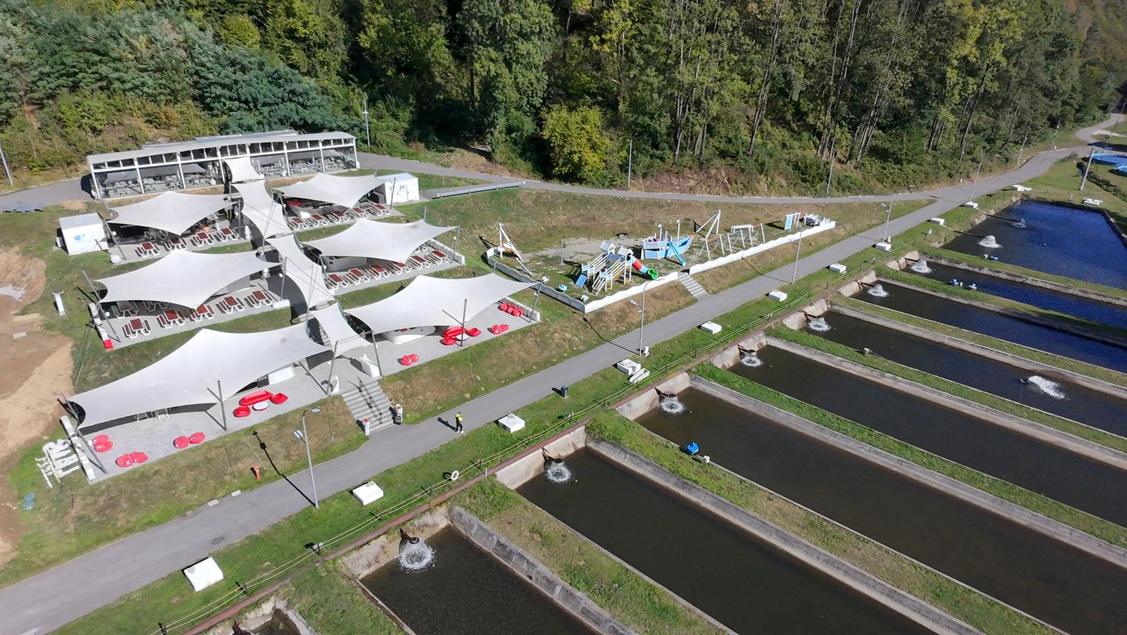 Cum se produce caviarul de Sadu