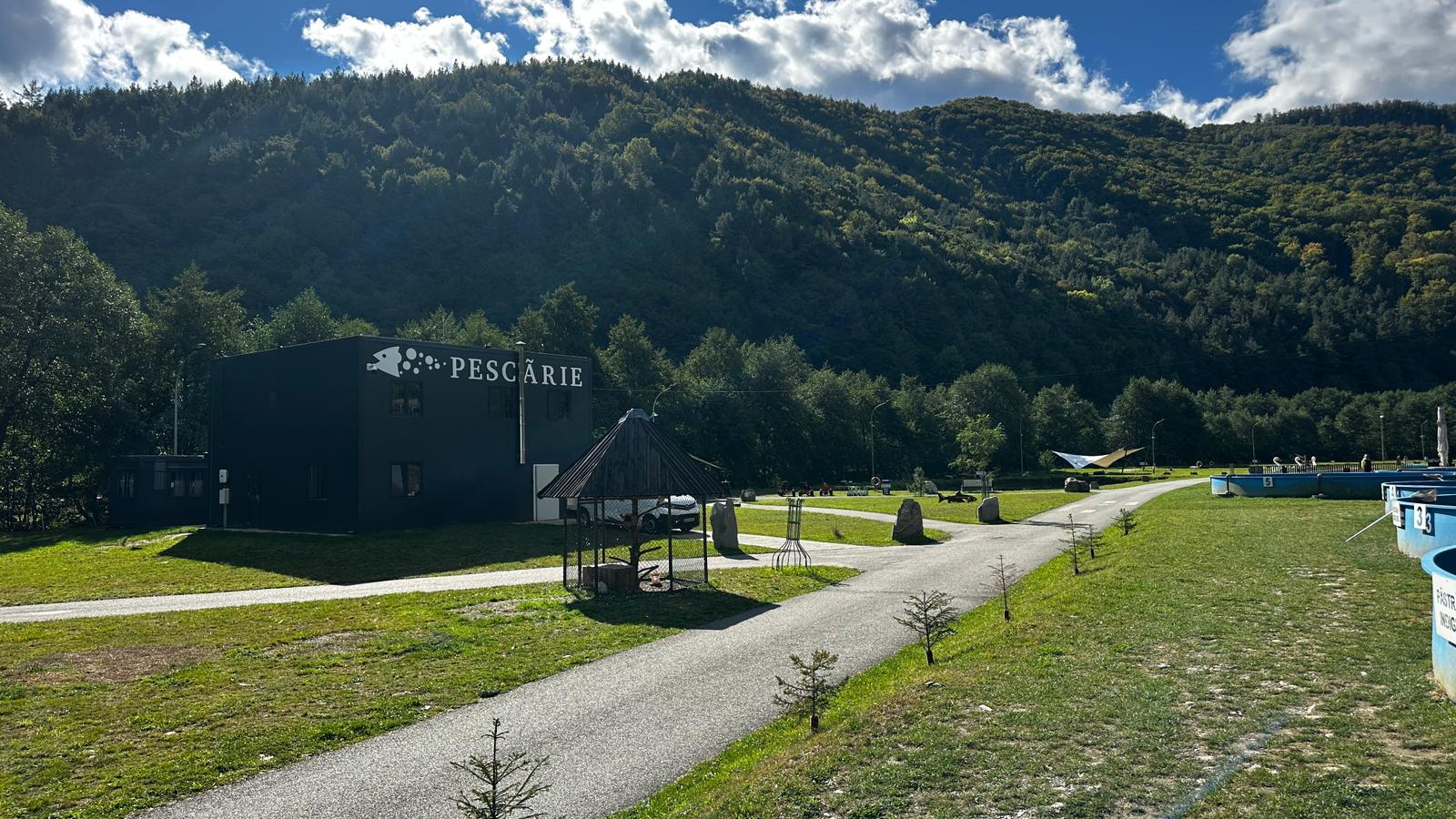 Cum se produce caviarul de Sadu