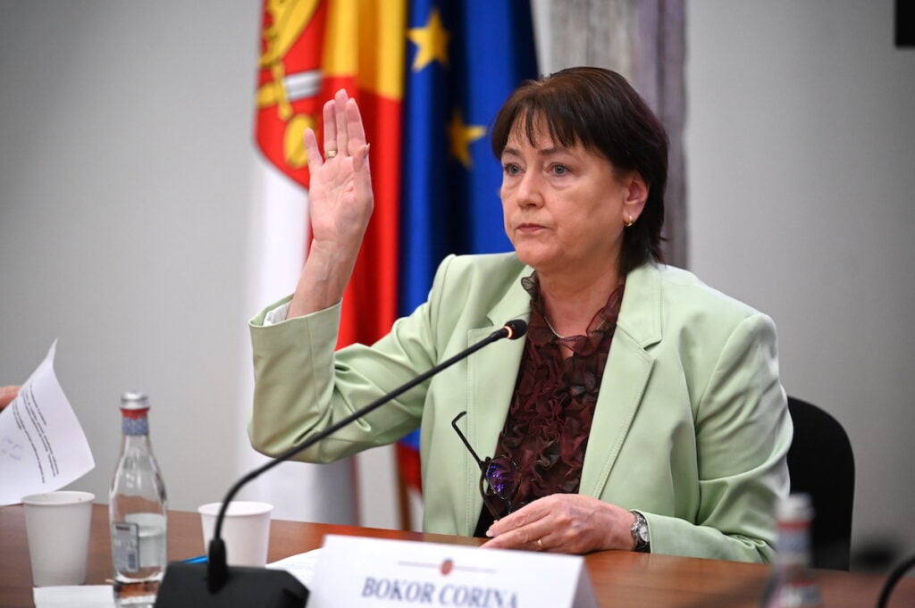 bokor-corina-sursa-psd-lzpc