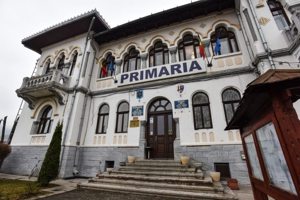 padure-taiata-aciliu-primarie-saliste-10-copy-tgky