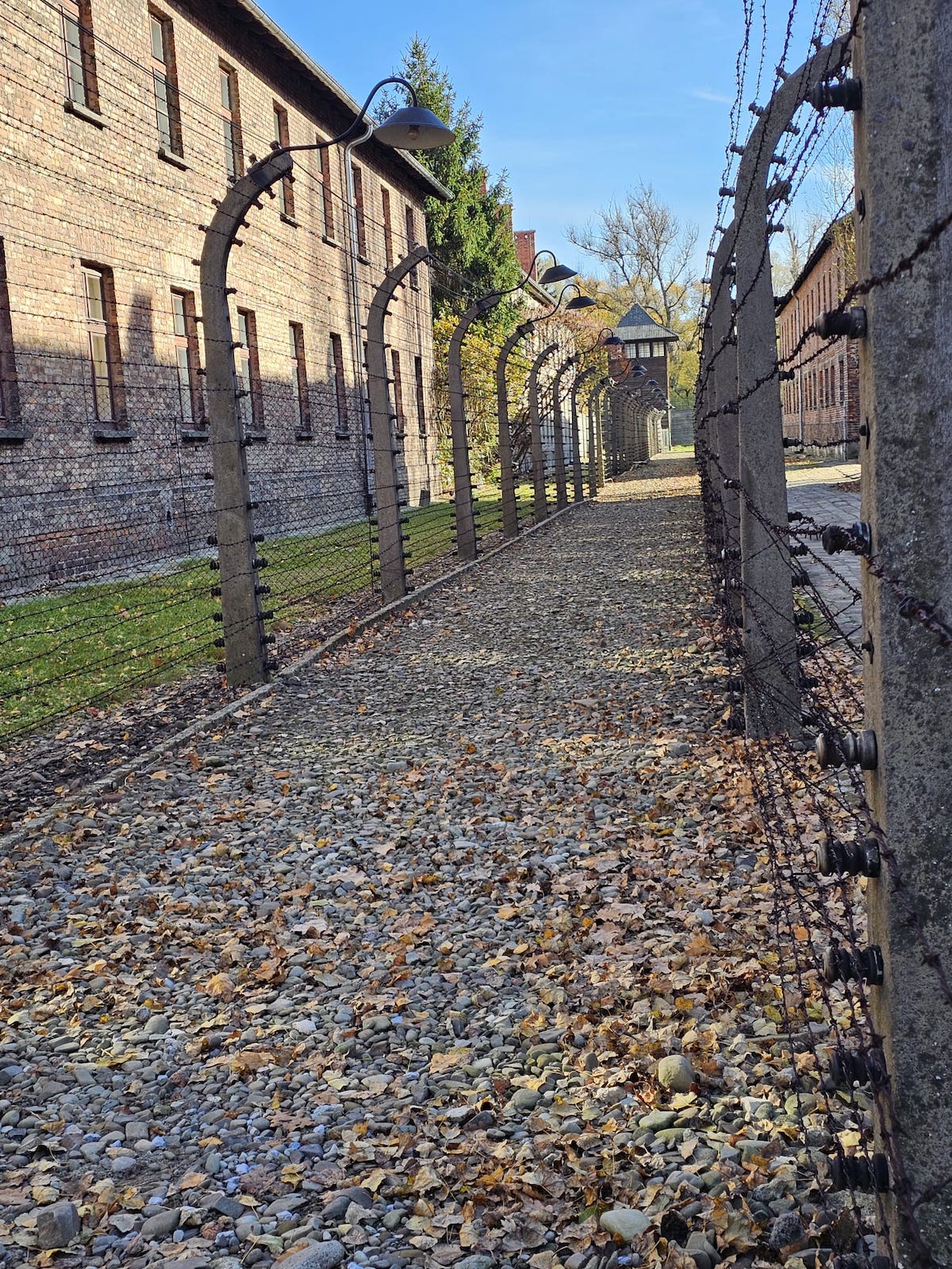 Oportunitate unică pentru sibieni: Zbor din Sibiu în Polonia și o vacanță de patru zile pe circuitul Katowice – Auschwitz - Cracovia
