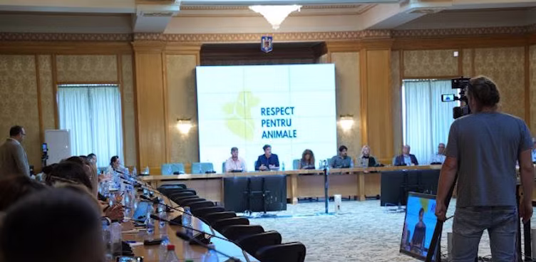 respect-pentru-animale-vbr2