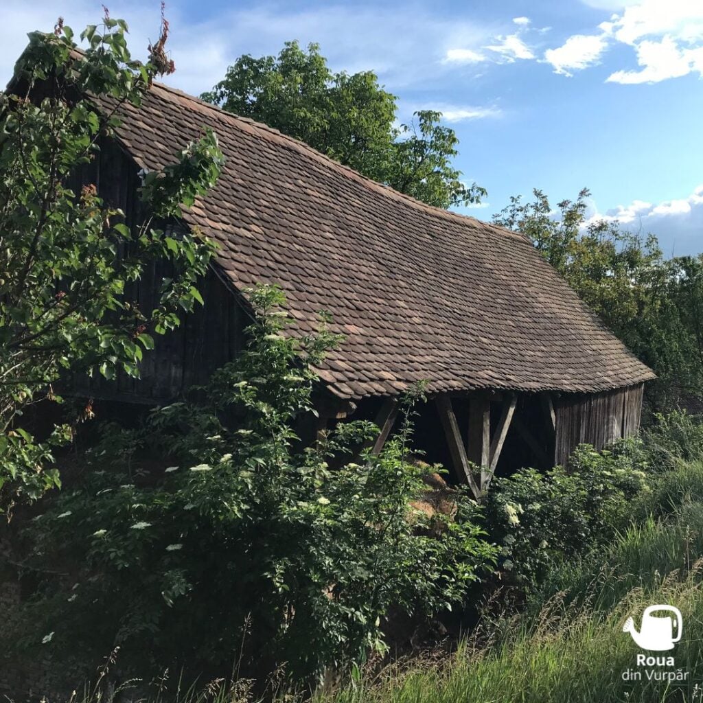 roua-din-vurpar9-mcch