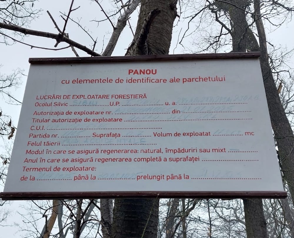 Tăieri în Pădurea Dumbrava, arie protejată. Cetățean: Copacii seculari sunt o raritate, cu atât mai mult în jurul orașelor. Explicația Direcției Silvice
