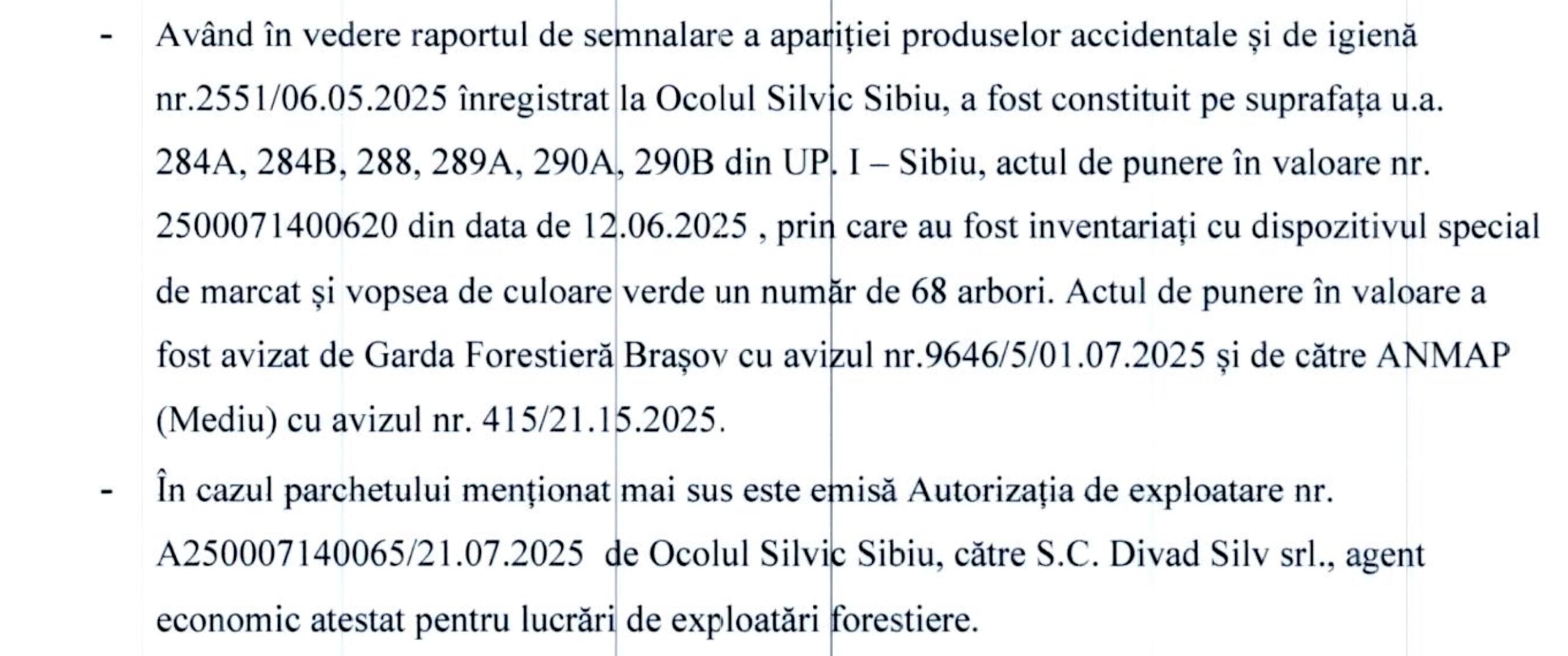 Tăieri în Pădurea Dumbrava, arie protejată. Cetățean: Copacii seculari sunt o raritate, cu atât mai mult în jurul orașelor. Explicația Direcției Silvice