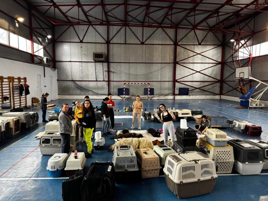 Asociația Animal Life participă la MIS 2026/Foto: Animal Life Sibiu