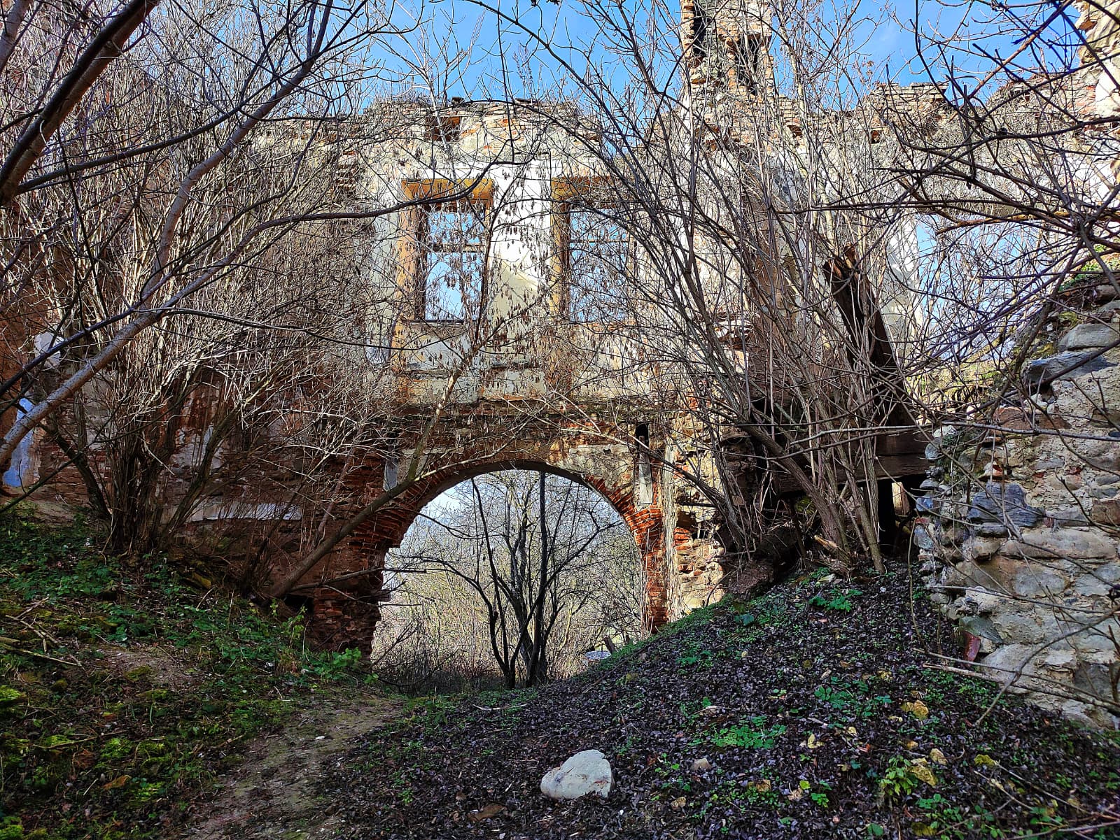 Două castele uitate de timp în inima județului Sibiu: Boarta și Buia - decoruri pentru ședințe foto