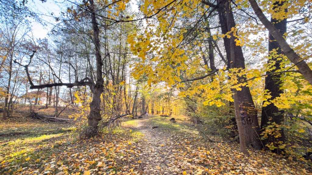 sibiu-toamna-meteo-vreme-parc-sub-arini-23-xowv