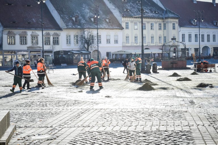 soma curatenie piata mare maturatori soare