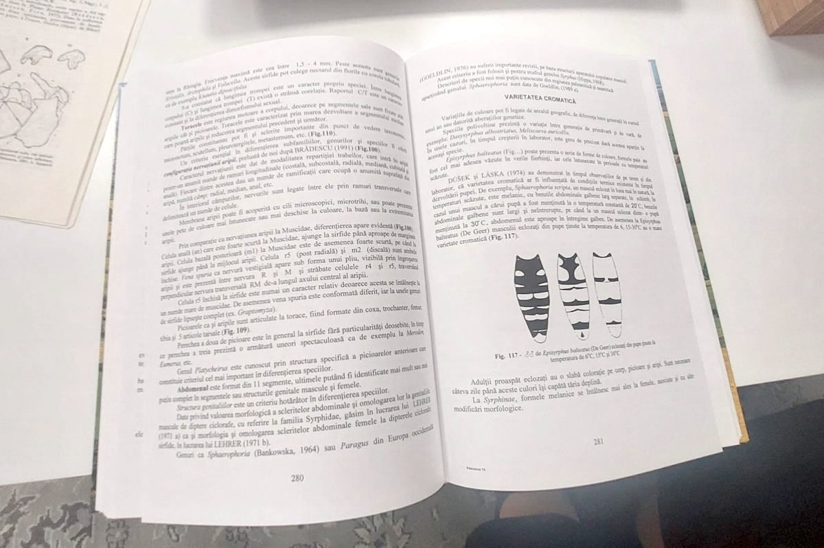 La 82 de ani, biologul sibian Carmen Stănescu continuă să inspire prin muncă și descoperiri: „Dacă vor exista generații curioase, natura își poate recăpăta echilibrul”