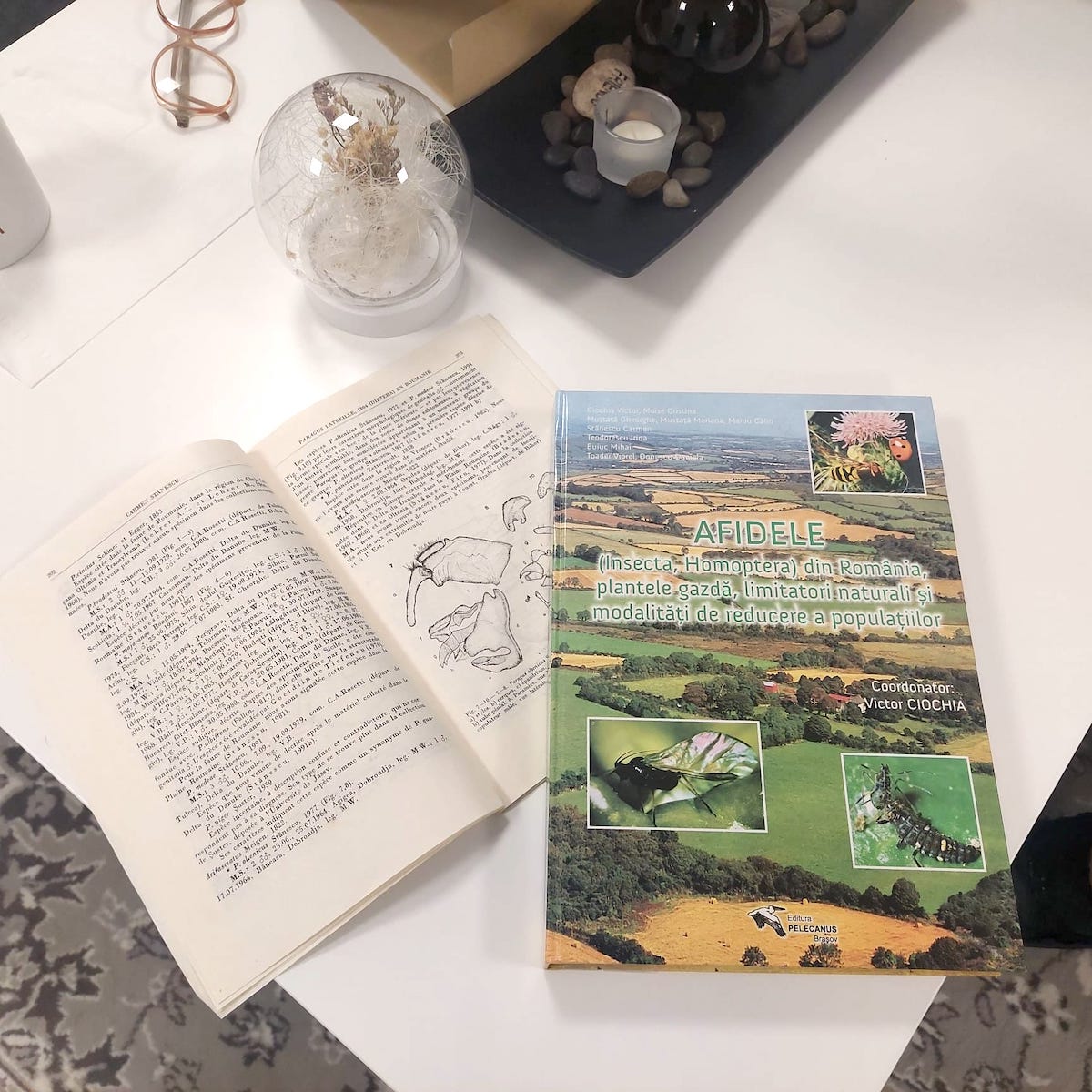 La 82 de ani, biologul sibian Carmen Stănescu continuă să inspire prin muncă și descoperiri: „Dacă vor exista generații curioase, natura își poate recăpăta echilibrul”