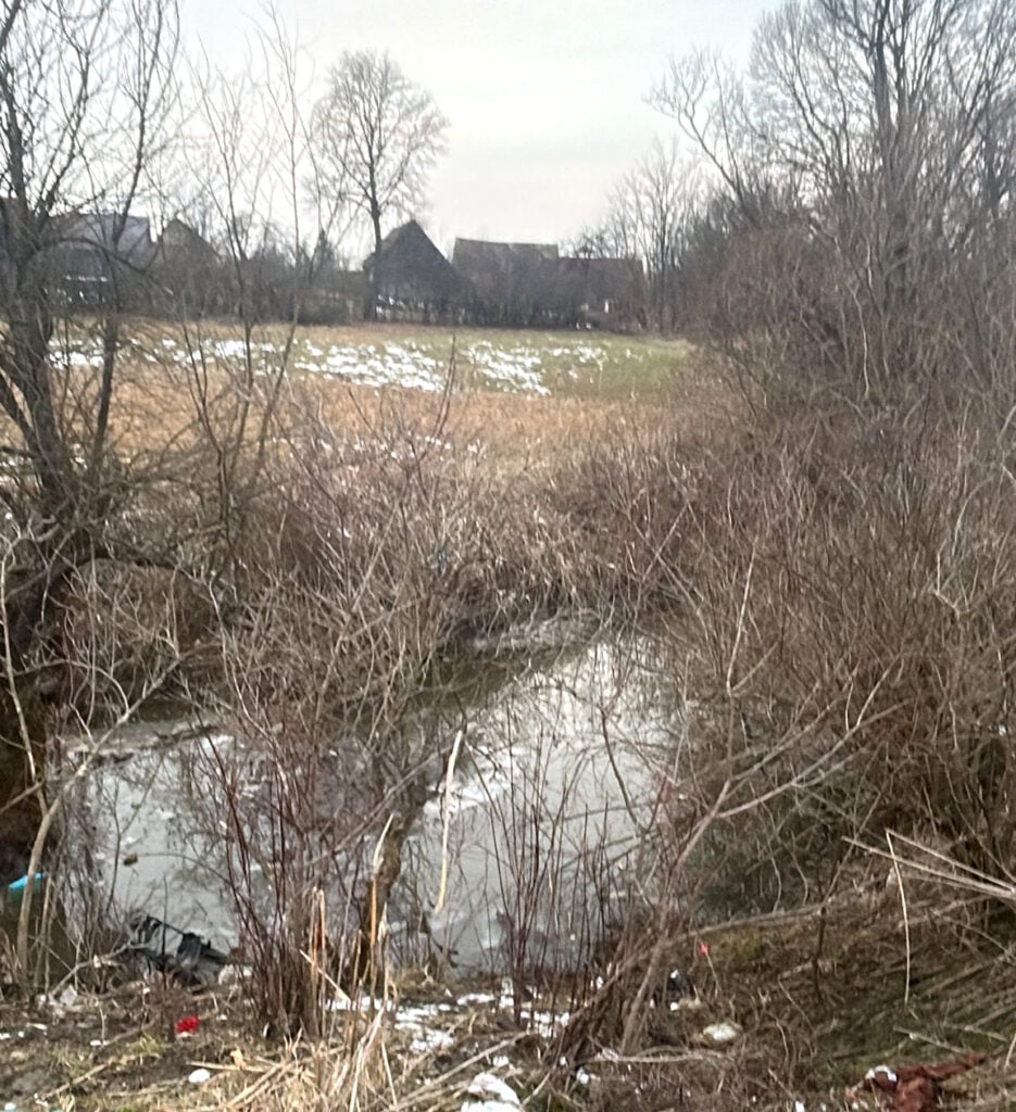 rau-chirpar-foto-ipj-eabb