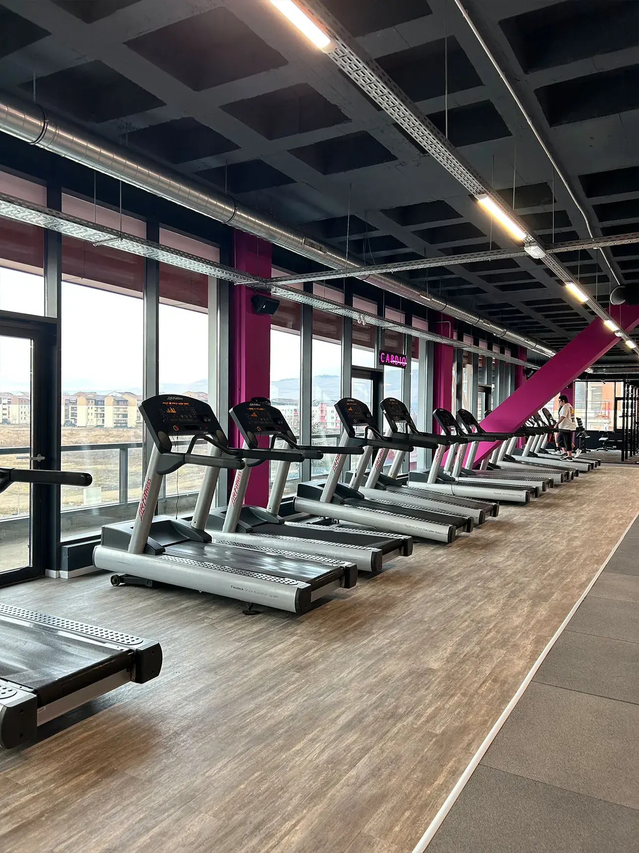 Magazinul Dumbrava: Penny deschide la parter, iar la întregul etaj trei va fi amenajată o sală de sport de către 18Gym