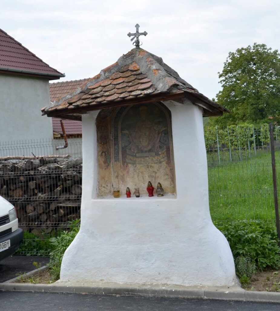 troita rasinari zugravita alb