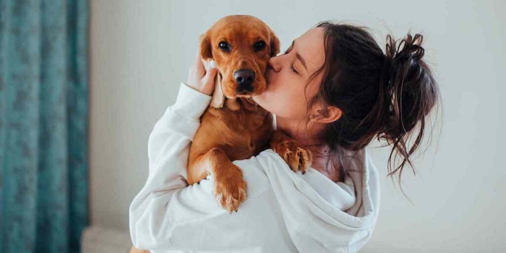 Cum te ajută farmacia veterinară să ai grijă mai bine de animalul tău, în 2026