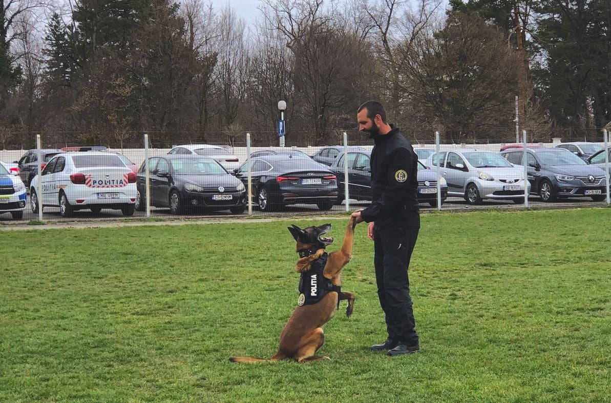 centrul chinologic sibiu caini centrul chinologic ziua portilor deschise