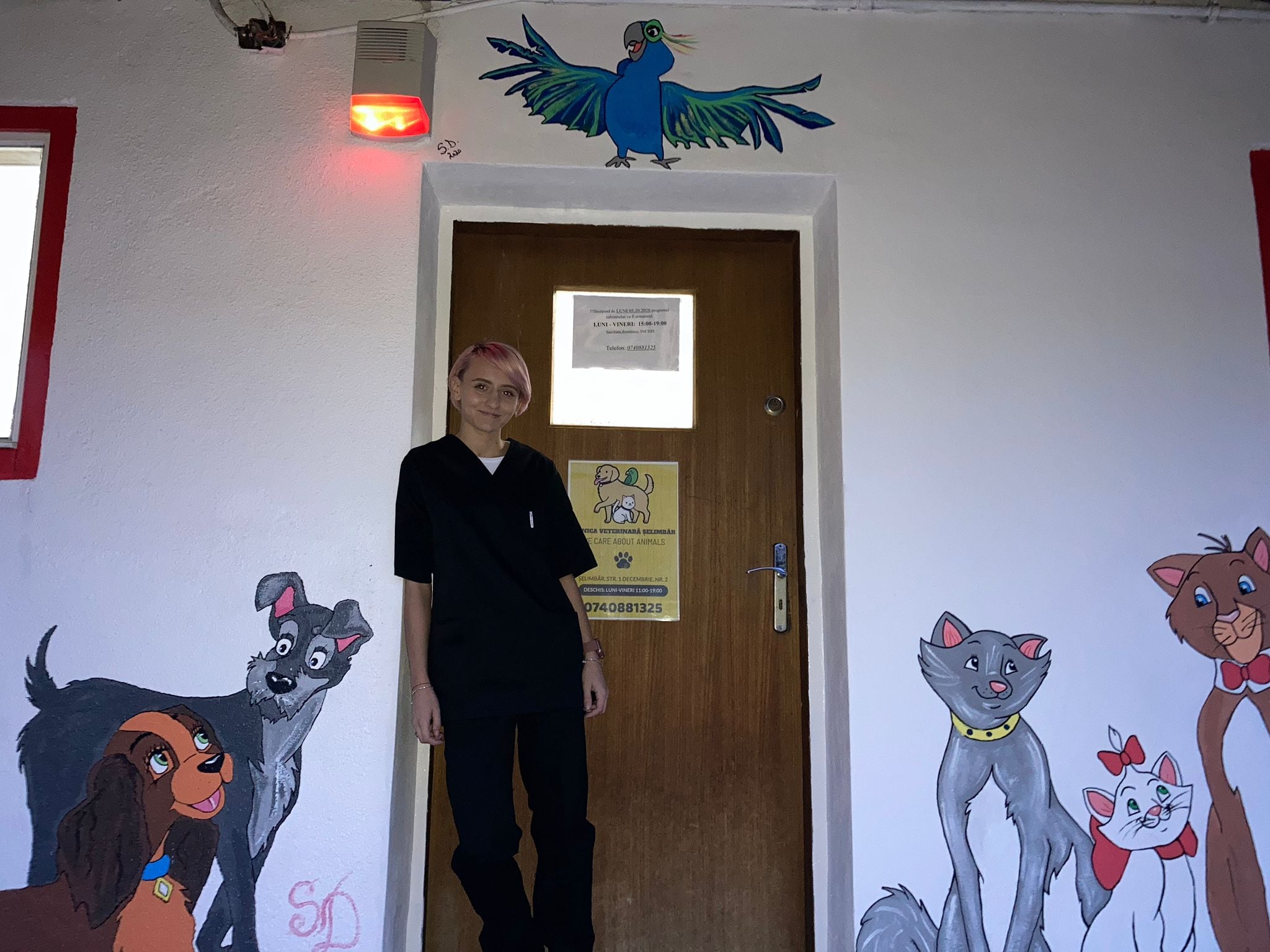 Desenele sunt făcute de Denisa pe fațada cabinetului în care a lucrat