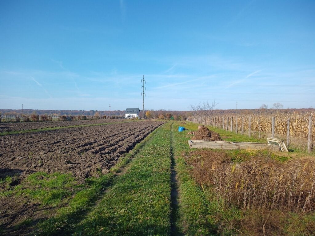 gradina inchiriere lunca sevisului1