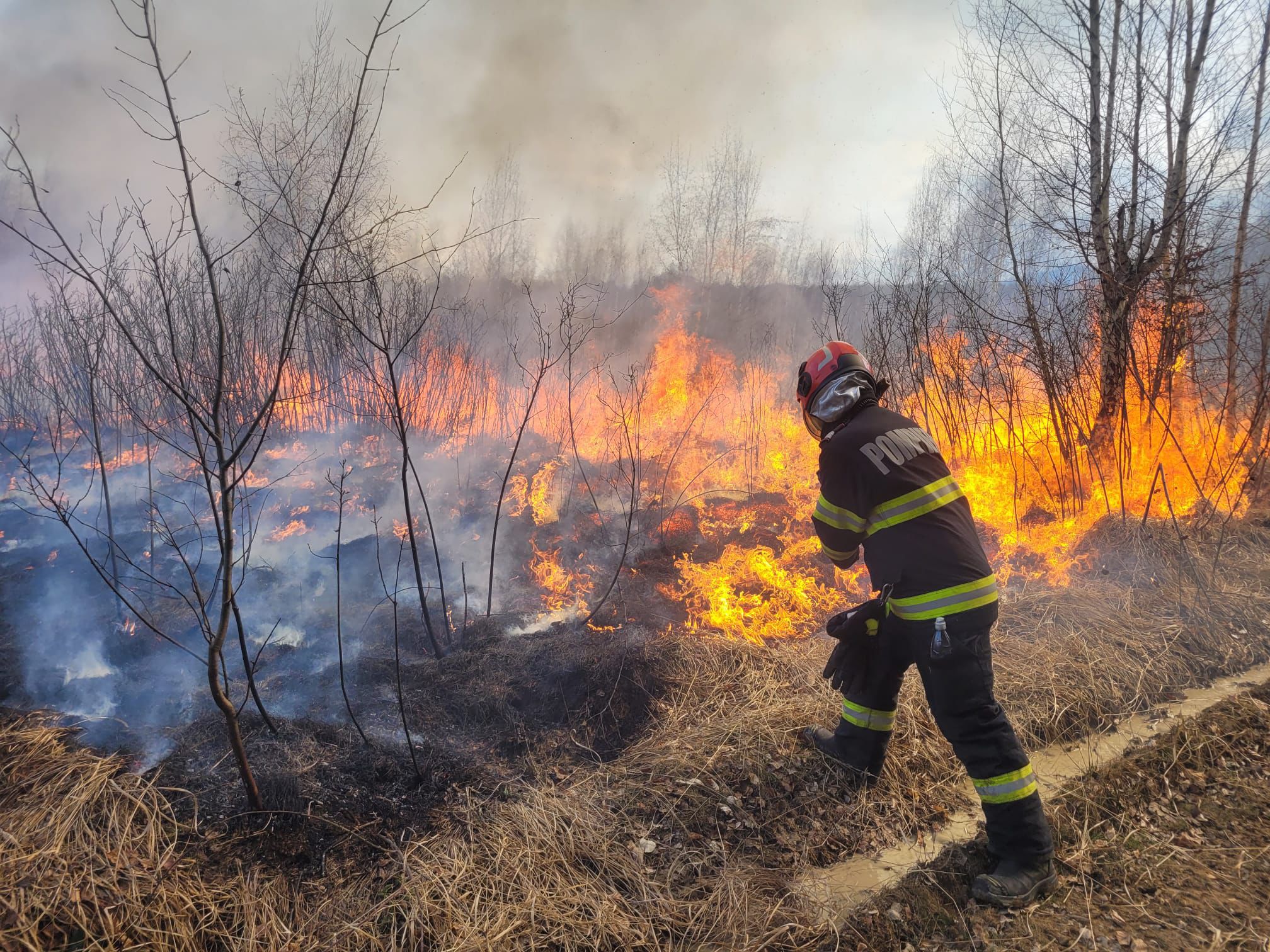 Incendiu vegetați. Foto: ISU Sibiu