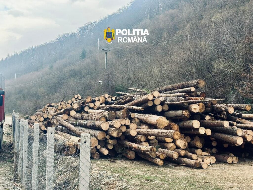 Foto Poliția Sibiu