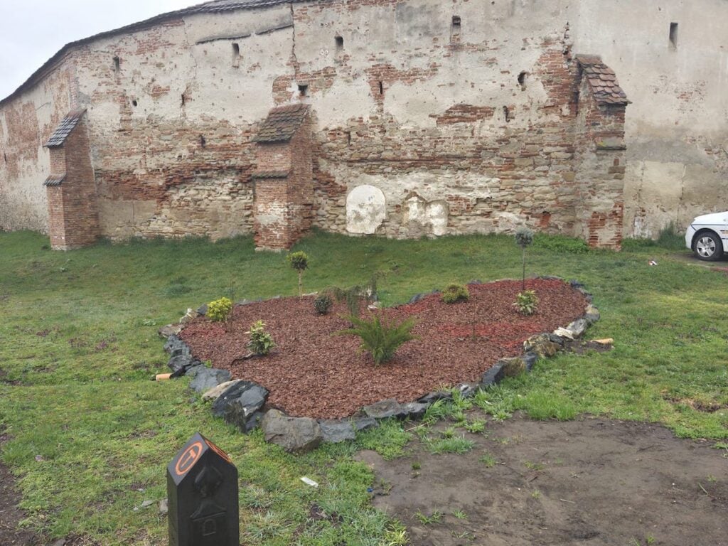 primaria axente sever publicitate1