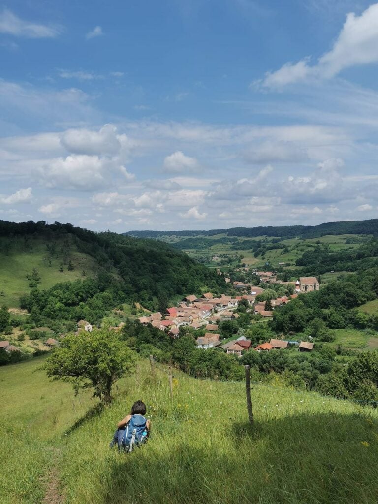 Dupus_arhiva personala