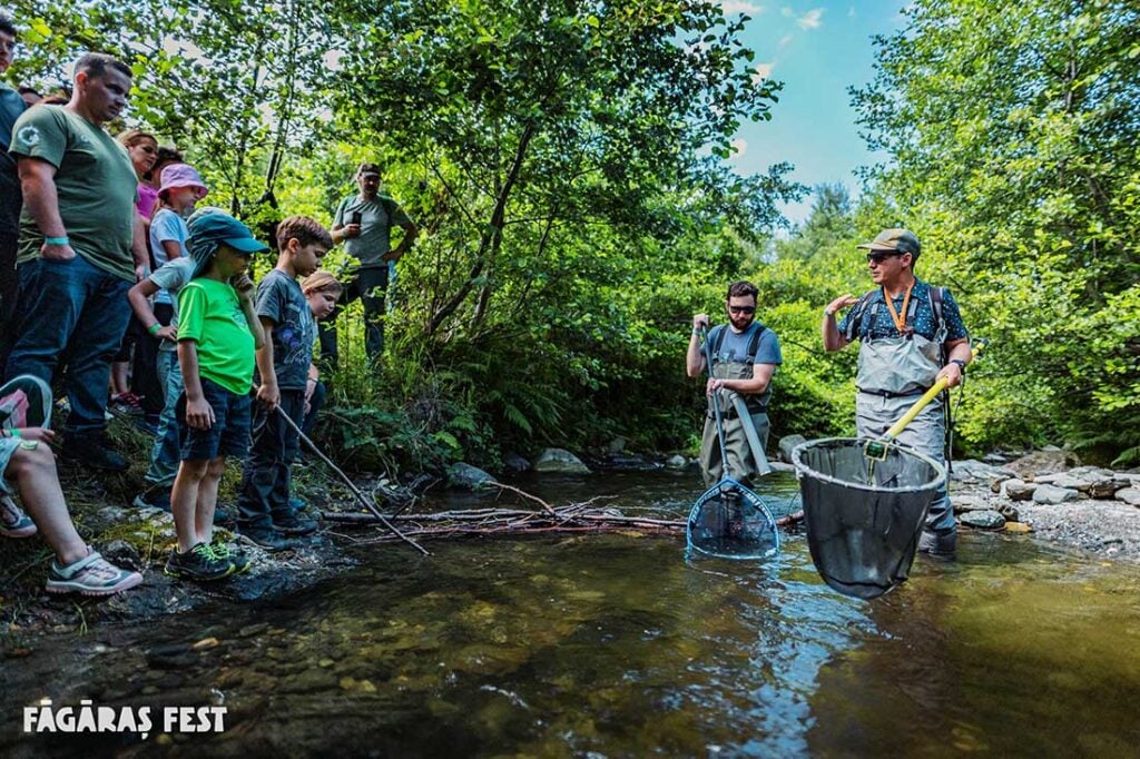 Foto Făgaraș Fest