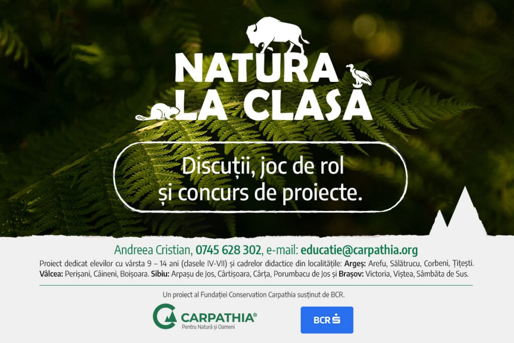 Foto Fundația Conservation Carpathia