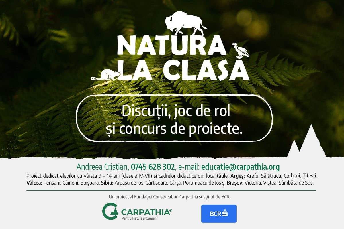 Foto Fundația Conservation Carpathia