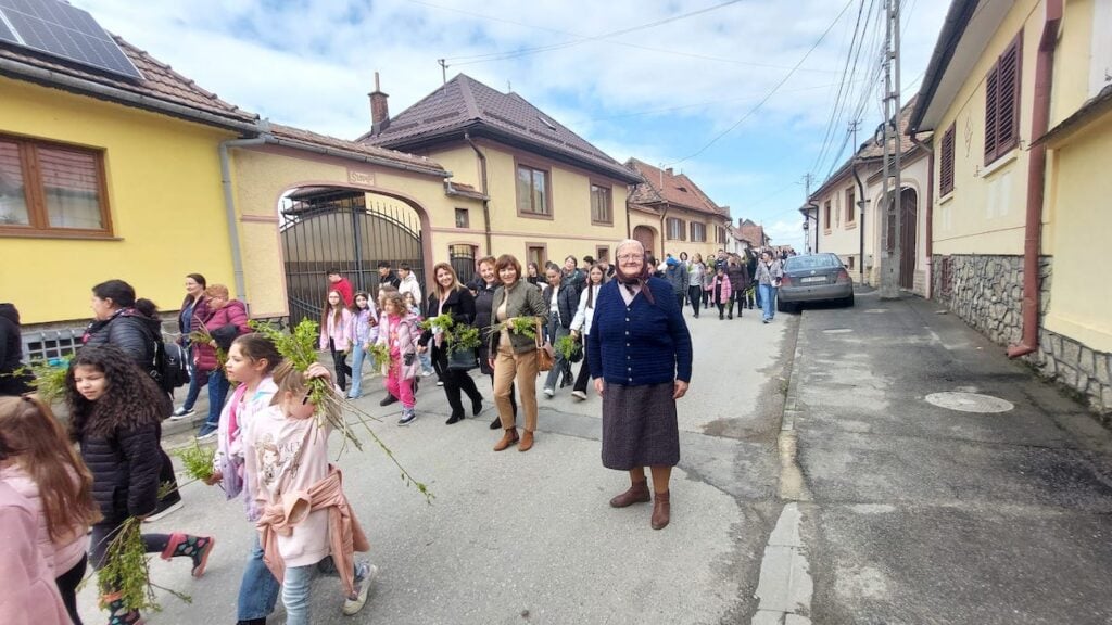 Rasinari, procesiune, florii21