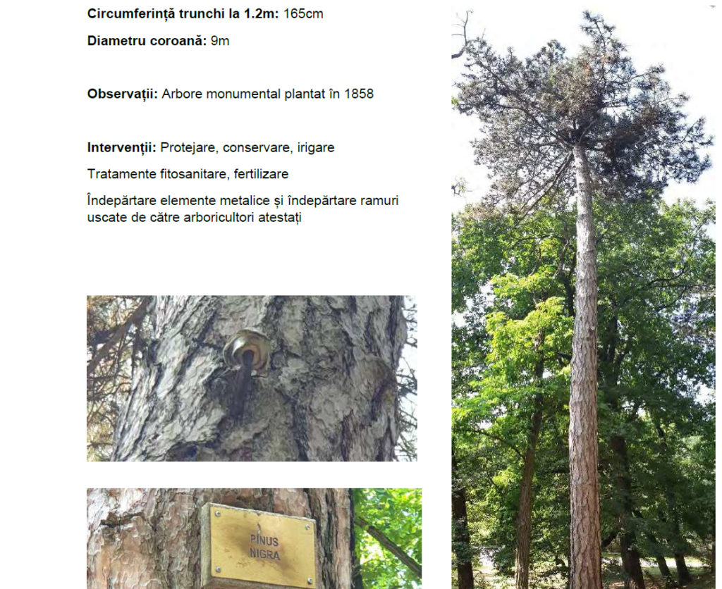 Screenshot 2026-04-26 173614