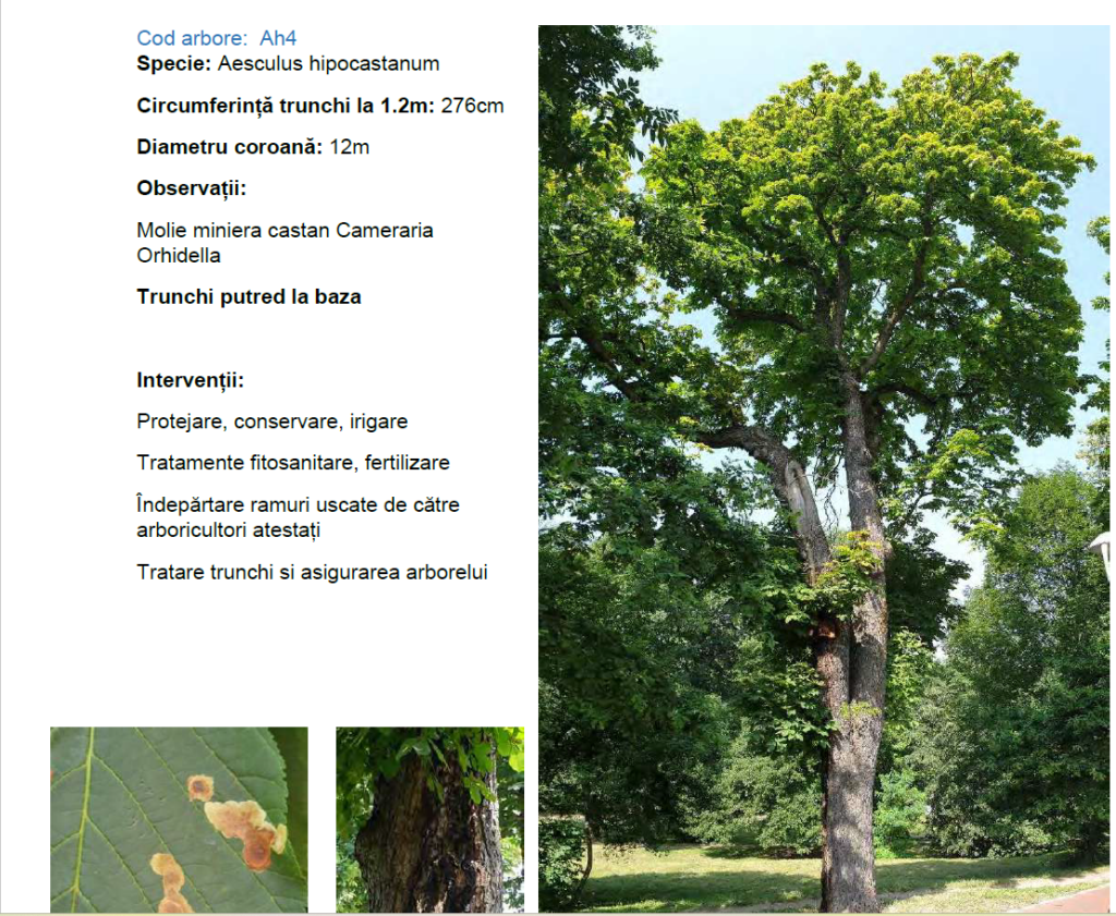 Screenshot 2026-04-26 173714