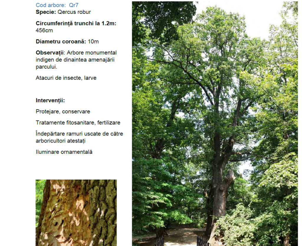 Screenshot 2026-04-26 173827