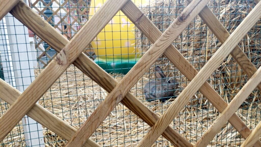 Targul de pasti 202625