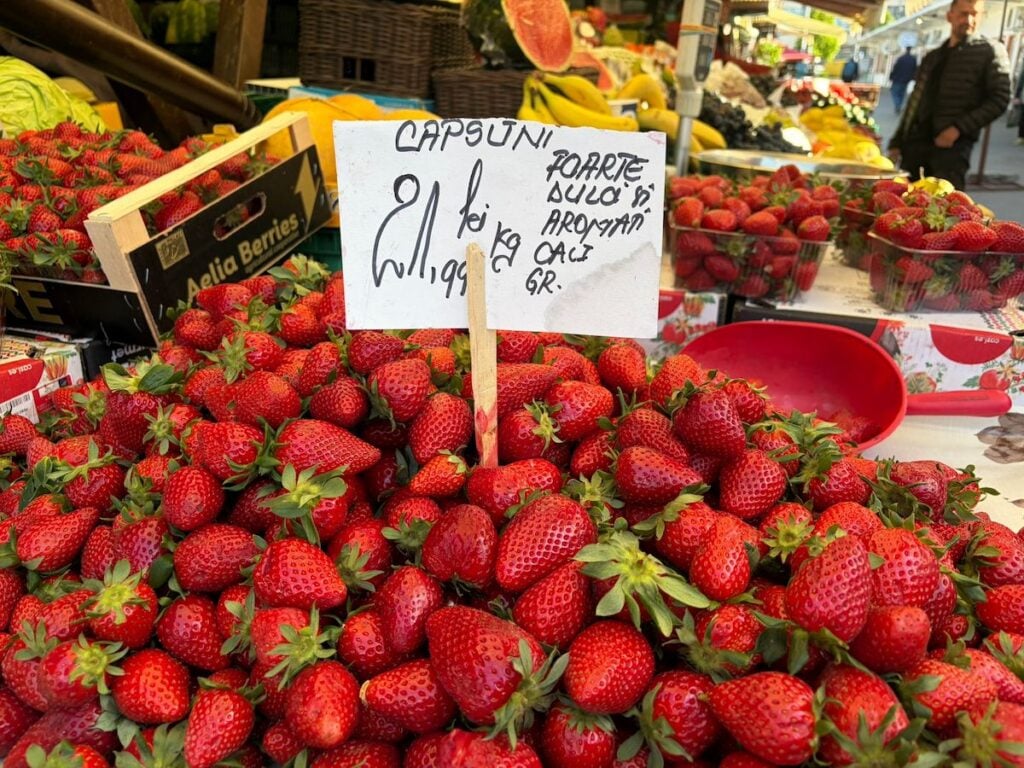 capsuni piata cibin 1