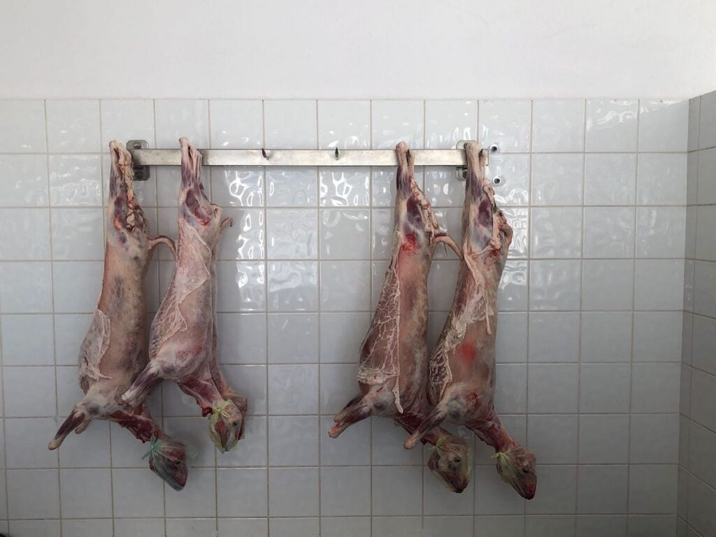 carne de miel piata cibi9n foto ts1