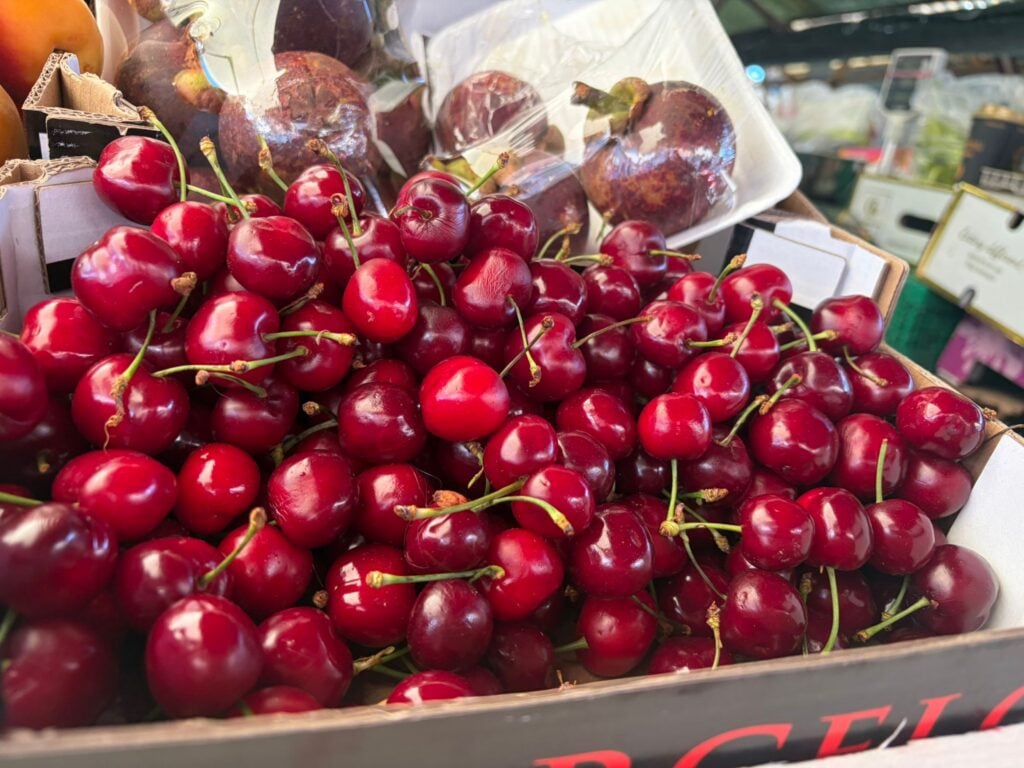 cirese piara cibin 2