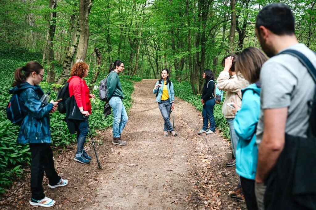 drumetie cu leurda_foto gabriela cuzepan