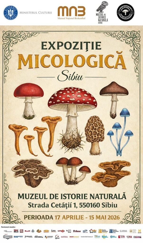 expozitie micologica