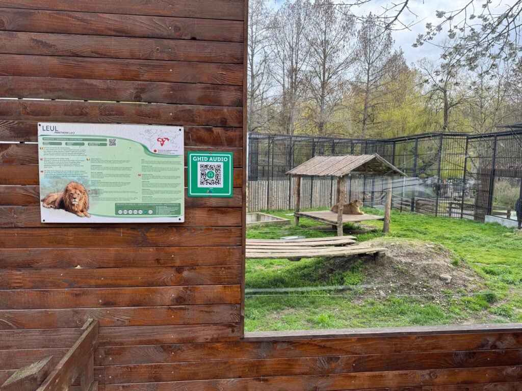 foto Primăria Sibiu