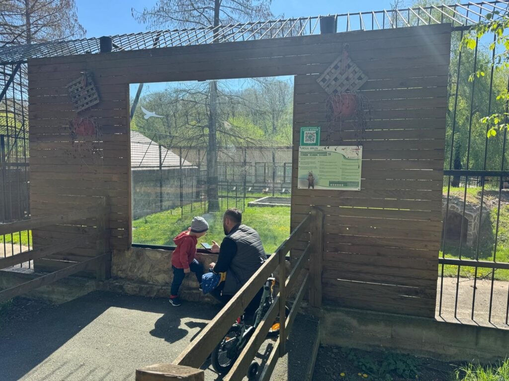 foto Primăria Sibiu