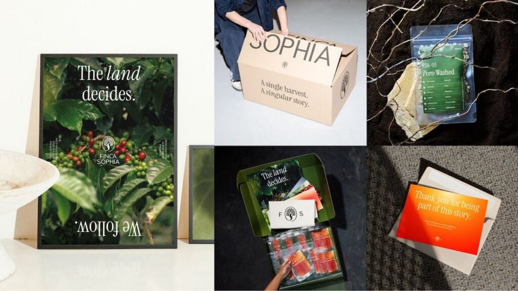 laara micile afaceri2