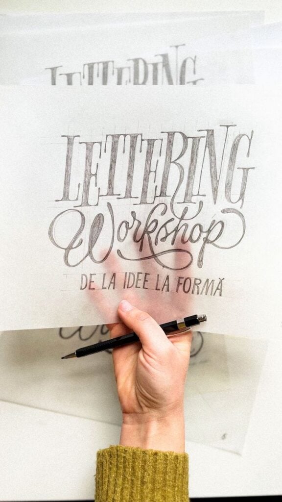 laara micile afaceri4