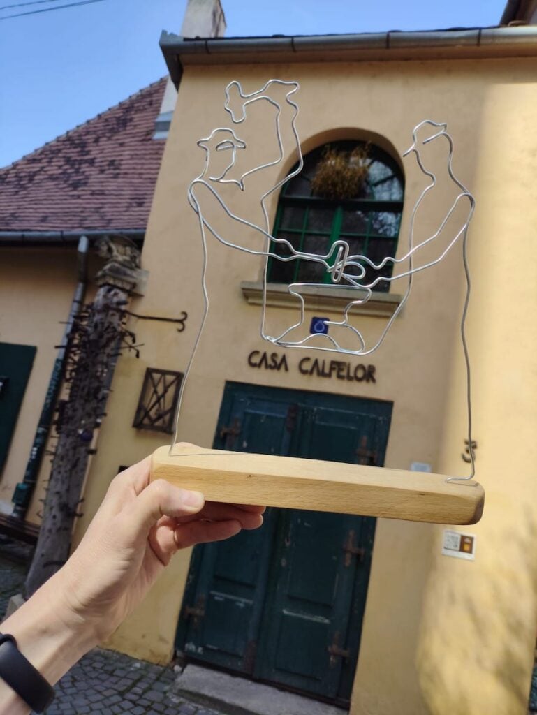 lucrare din sarma cu calfele foto paul cristian cordos4